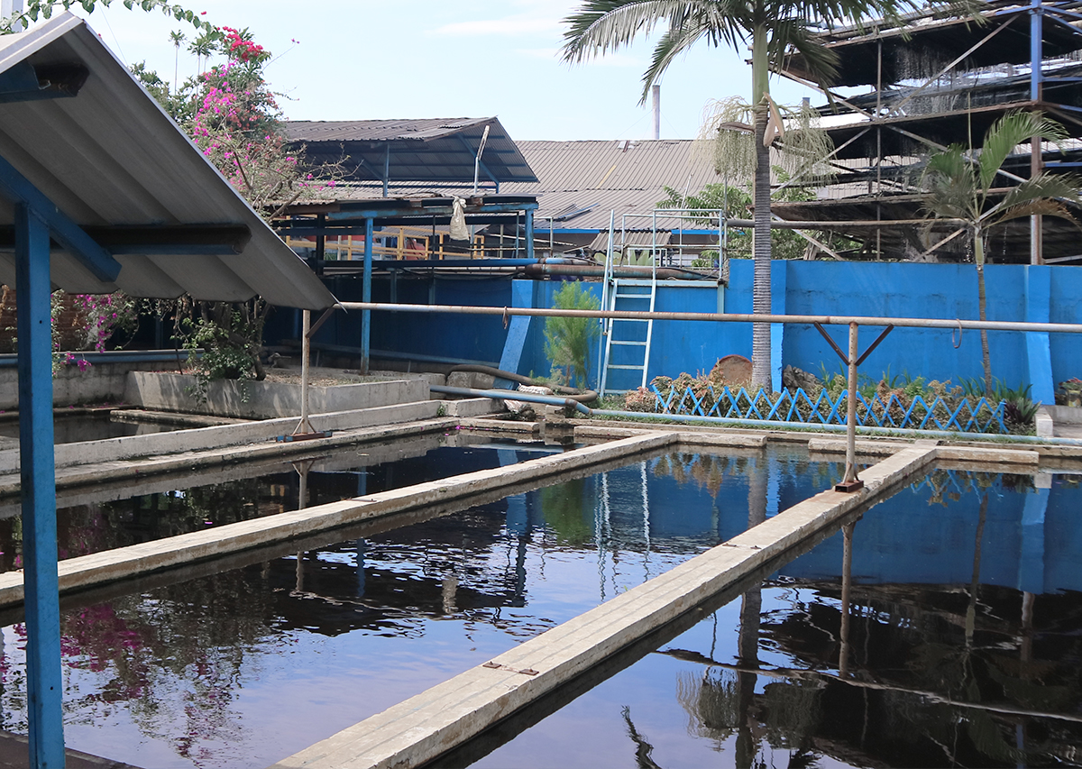 Waste Water Treatment - Sinar Sari Sejati